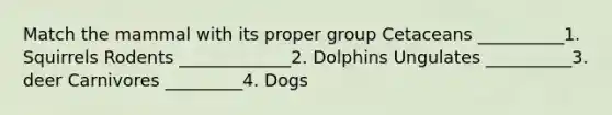 Match the mammal with its proper group Cetaceans __________1. Squirrels Rodents _____________2. Dolphins Ungulates __________3. deer Carnivores _________4. Dogs