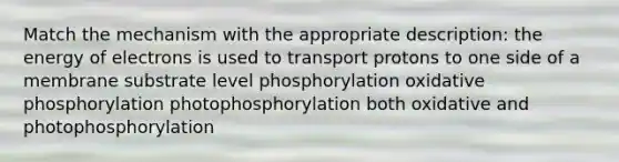 Match the mechanism with the appropriate description: the energy of electrons is used to transport protons to one side of a membrane substrate level phosphorylation oxidative phosphorylation photophosphorylation both oxidative and photophosphorylation