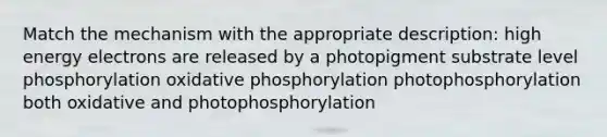 Match the mechanism with the appropriate description: high energy electrons are released by a photopigment substrate level phosphorylation oxidative phosphorylation photophosphorylation both oxidative and photophosphorylation