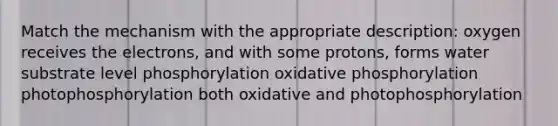 Match the mechanism with the appropriate description: oxygen receives the electrons, and with some protons, forms water substrate level phosphorylation oxidative phosphorylation photophosphorylation both oxidative and photophosphorylation