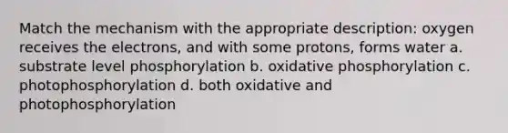 Match the mechanism with the appropriate description: oxygen receives the electrons, and with some protons, forms water a. substrate level phosphorylation b. <a href='https://www.questionai.com/knowledge/kFazUb9IwO-oxidative-phosphorylation' class='anchor-knowledge'>oxidative phosphorylation</a> c. photophosphorylation d. both oxidative and photophosphorylation