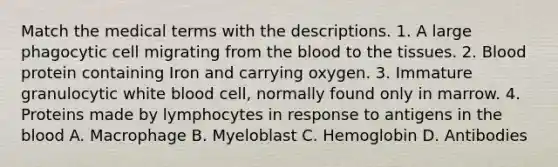 Match the medical terms with the descriptions. 1. A large phagocytic cell migrating from the blood to the tissues. 2. Blood protein containing Iron and carrying oxygen. 3. Immature granulocytic white blood cell, normally found only in marrow. 4. Proteins made by lymphocytes in response to antigens in the blood A. Macrophage B. Myeloblast C. Hemoglobin D. Antibodies