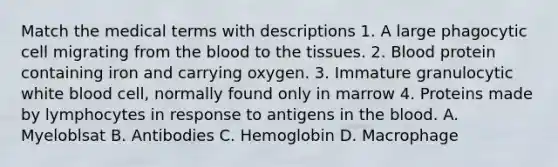 Match the medical terms with descriptions 1. A large phagocytic cell migrating from the blood to the tissues. 2. Blood protein containing iron and carrying oxygen. 3. Immature granulocytic white blood cell, normally found only in marrow 4. Proteins made by lymphocytes in response to antigens in the blood. A. Myeloblsat B. Antibodies C. Hemoglobin D. Macrophage