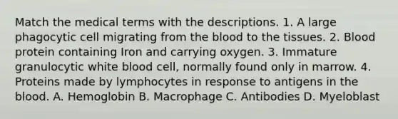 Match the medical terms with the descriptions. 1. A large phagocytic cell migrating from the blood to the tissues. 2. Blood protein containing Iron and carrying oxygen. 3. Immature granulocytic white blood cell, normally found only in marrow. 4. Proteins made by lymphocytes in response to antigens in the blood. A. Hemoglobin B. Macrophage C. Antibodies D. Myeloblast