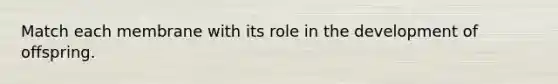 Match each membrane with its role in the development of offspring.