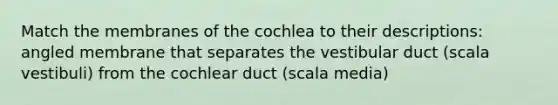 Match the membranes of the cochlea to their descriptions: angled membrane that separates the vestibular duct (scala vestibuli) from the cochlear duct (scala media)