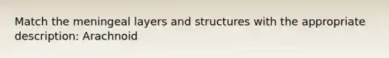 Match the meningeal layers and structures with the appropriate description: Arachnoid