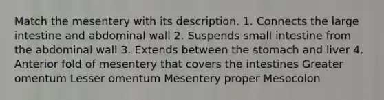 Match the mesentery with its description. 1. Connects the large intestine and abdominal wall 2. Suspends small intestine from the abdominal wall 3. Extends between the stomach and liver 4. Anterior fold of mesentery that covers the intestines Greater omentum Lesser omentum Mesentery proper Mesocolon