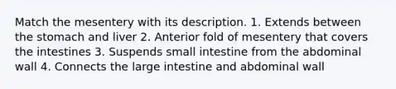 Match the mesentery with its description. 1. Extends between the stomach and liver 2. Anterior fold of mesentery that covers the intestines 3. Suspends small intestine from the abdominal wall 4. Connects the large intestine and abdominal wall