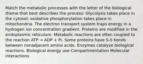 Match the metabolic processes with the letter of the biological theme that best describes the process: Glycolysis takes place in the cytosol; oxidative phosphorylation takes place in mitochondria. The electron transport system traps energy in a hydrogen ion concentration gradient. Proteins are modified in the endoplasmic reticulum. Metabolic reactions are often coupled to the reaction ATP → ADP + Pi. Some proteins have S-S bonds between nonadjacent amino acids. Enzymes catalyze biological reactions. Biological energy use Compartmentation Molecular interactions