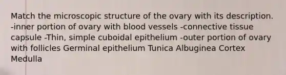 Match the microscopic structure of the ovary with its description. -inner portion of ovary with blood vessels -connective tissue capsule -Thin, simple cuboidal epithelium -outer portion of ovary with follicles Germinal epithelium Tunica Albuginea Cortex Medulla