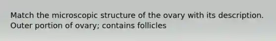 Match the microscopic structure of the ovary with its description. Outer portion of ovary; contains follicles