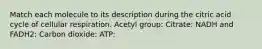 Match each molecule to its description during the citric acid cycle of cellular respiration. Acetyl group: Citrate: NADH and FADH2: Carbon dioxide: ATP: