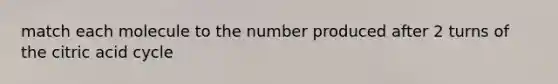 match each molecule to the number produced after 2 turns of the citric acid cycle