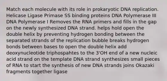 Match each molecule with its role in prokaryotic DNA replication. Helicase Ligase Primase SS binding proteins DNA Polymerase III DNA Polymerase I Removes the RNA primers and fills in the gap on the newly synthesized DNA strand. helps hold open the double helix by preventing hydrogen bonding between the separated strands of the replication bubble breaks hydrogen bonds between bases to open the double helix add deoxynucleotide triphospahtes to the 3'OH end of a new nucleic acid strand on the template DNA strand synthesizes small pieces of RNA to start the synthesis of new DNA strands joins Okazaki fragments together ligase