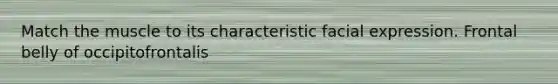 Match the muscle to its characteristic facial expression. Frontal belly of occipitofrontalis