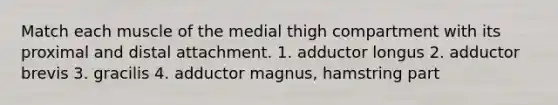 Match each muscle of the medial thigh compartment with its proximal and distal attachment. 1. adductor longus 2. adductor brevis 3. gracilis 4. adductor magnus, hamstring part