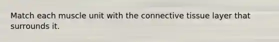 Match each muscle unit with the connective tissue layer that surrounds it.