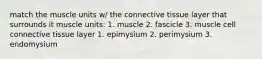 match the muscle units w/ the connective tissue layer that surrounds it muscle units: 1. muscle 2. fascicle 3. muscle cell connective tissue layer 1. epimysium 2. perimysium 3. endomysium