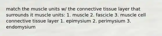 match the muscle units w/ the connective tissue layer that surrounds it muscle units: 1. muscle 2. fascicle 3. muscle cell connective tissue layer 1. epimysium 2. perimysium 3. endomysium