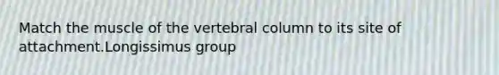 Match the muscle of the vertebral column to its site of attachment.Longissimus group