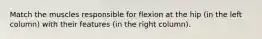 Match the muscles responsible for flexion at the hip (in the left column) with their features (in the right column).