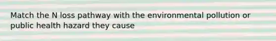 Match the N loss pathway with the environmental pollution or public health hazard they cause