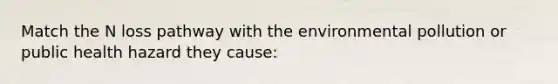 Match the N loss pathway with the environmental pollution or public health hazard they cause: