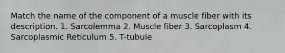 Match the name of the component of a muscle fiber with its description. 1. Sarcolemma 2. Muscle fiber 3. Sarcoplasm 4. Sarcoplasmic Reticulum 5. T-tubule