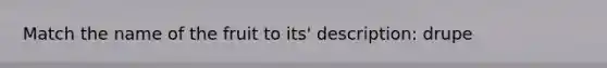 Match the name of the fruit to its' description: drupe