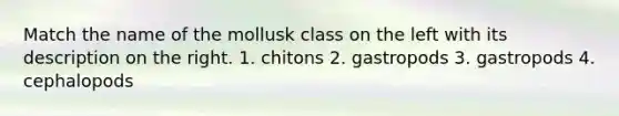 Match the name of the mollusk class on the left with its description on the right. 1. chitons 2. gastropods 3. gastropods 4. cephalopods