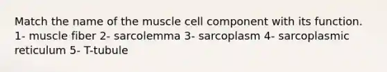 Match the name of the muscle cell component with its function. 1- muscle fiber 2- sarcolemma 3- sarcoplasm 4- sarcoplasmic reticulum 5- T-tubule