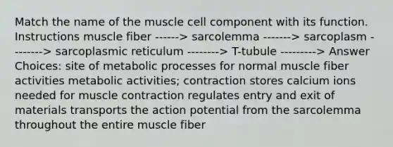 Match the name of the muscle cell component with its function. Instructions muscle fiber ------> sarcolemma -------> sarcoplasm --------> sarcoplasmic reticulum --------> T-tubule ---------> Answer Choices: site of metabolic processes for normal muscle fiber activities metabolic activities; contraction stores calcium ions needed for muscle contraction regulates entry and exit of materials transports the action potential from the sarcolemma throughout the entire muscle fiber