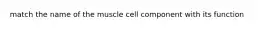 match the name of the muscle cell component with its function