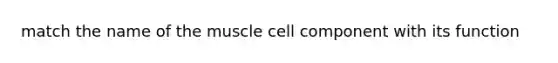 match the name of the muscle cell component with its function