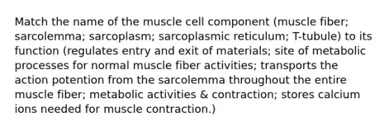 Match the name of the muscle cell component (muscle fiber; sarcolemma; sarcoplasm; sarcoplasmic reticulum; T-tubule) to its function (regulates entry and exit of materials; site of metabolic processes for normal muscle fiber activities; transports the action potention from the sarcolemma throughout the entire muscle fiber; metabolic activities & contraction; stores calcium ions needed for muscle contraction.)