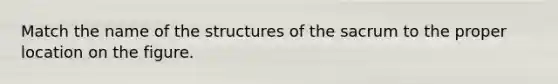 Match the name of the structures of the sacrum to the proper location on the figure.