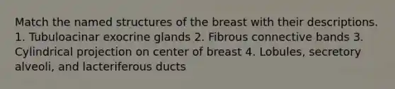 Match the named structures of the breast with their descriptions. 1. Tubuloacinar exocrine glands 2. Fibrous connective bands 3. Cylindrical projection on center of breast 4. Lobules, secretory alveoli, and lacteriferous ducts