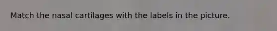 Match the nasal cartilages with the labels in the picture.