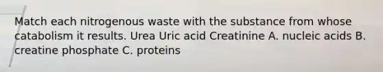 Match each nitrogenous waste with the substance from whose catabolism it results. Urea Uric acid Creatinine A. nucleic acids B. creatine phosphate C. proteins