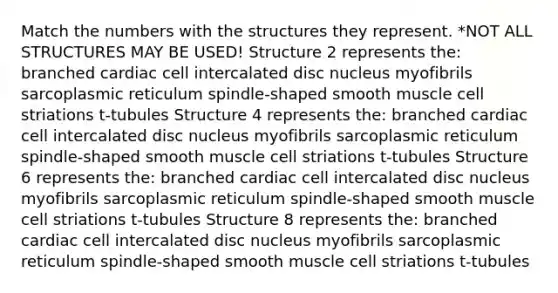 Match the numbers with the structures they represent. *NOT ALL STRUCTURES MAY BE USED! Structure 2 represents the: branched cardiac cell intercalated disc nucleus myofibrils sarcoplasmic reticulum spindle-shaped smooth muscle cell striations t-tubules Structure 4 represents the: branched cardiac cell intercalated disc nucleus myofibrils sarcoplasmic reticulum spindle-shaped smooth muscle cell striations t-tubules Structure 6 represents the: branched cardiac cell intercalated disc nucleus myofibrils sarcoplasmic reticulum spindle-shaped smooth muscle cell striations t-tubules Structure 8 represents the: branched cardiac cell intercalated disc nucleus myofibrils sarcoplasmic reticulum spindle-shaped smooth muscle cell striations t-tubules