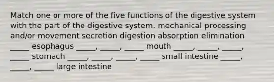 Match one or more of the five functions of the digestive system with the part of the digestive system. mechanical processing and/or movement secretion digestion absorption elimination _____ esophagus _____, _____, _____ mouth _____, _____, _____, _____ stomach _____, _____, _____, _____ small intestine _____, _____, _____ large intestine