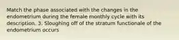 Match the phase associated with the changes in the endometrium during the female monthly cycle with its description. 3. Sloughing off of the stratum functionale of the endometrium occurs