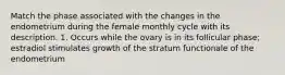 Match the phase associated with the changes in the endometrium during the female monthly cycle with its description. 1. Occurs while the ovary is in its follicular phase; estradiol stimulates growth of the stratum functionale of the endometrium