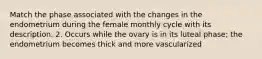 Match the phase associated with the changes in the endometrium during the female monthly cycle with its description. 2. Occurs while the ovary is in its luteal phase; the endometrium becomes thick and more vascularized