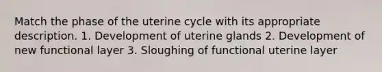 Match the phase of the uterine cycle with its appropriate description. 1. Development of uterine glands 2. Development of new functional layer 3. Sloughing of functional uterine layer