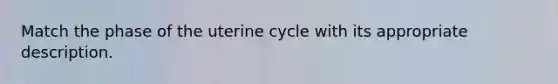 Match the phase of the uterine cycle with its appropriate description.