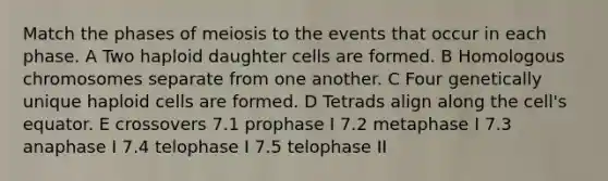 Match the phases of meiosis to the events that occur in each phase. A Two haploid daughter cells are formed. B Homologous chromosomes separate from one another. C Four genetically unique haploid cells are formed. D Tetrads align along the cell's equator. E crossovers 7.1 prophase I 7.2 metaphase I 7.3 anaphase I 7.4 telophase I 7.5 telophase II