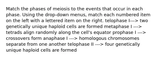 Match the phases of meiosis to the events that occur in each phase. Using the drop-down menus, match each numbered item on the left with a lettered item on the right. telophase I---> two genetically unique haploid cells are formed metaphase I ---> tetrads align randomly along the cell's equator prophase I ---> crossovers form anaphase I ---> homologous chromosomes separate from one another telophase II ---> four genetically unique haploid cells are formed