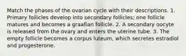 Match the phases of the ovarian cycle with their descriptions. 1. Primary follicles develop into secondary follicles; one follicle matures and becomes a graafian follicle. 2. A secondary oocyte is released from the ovary and enters the uterine tube. 3. The empty follicle becomes a corpus luteum, which secretes estradiol and progesterone.